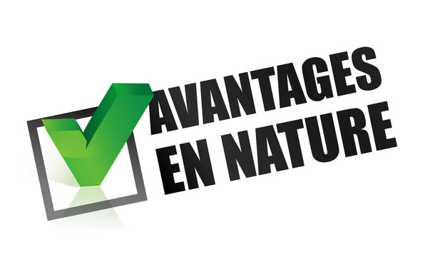 avantage en nature : logement, voiture, repas, que du plus